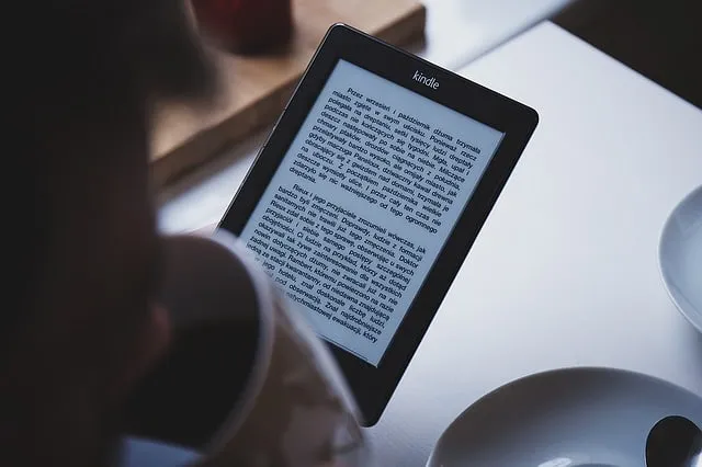 Comment enregistrer un ebook gratuit sur une liseuse ?