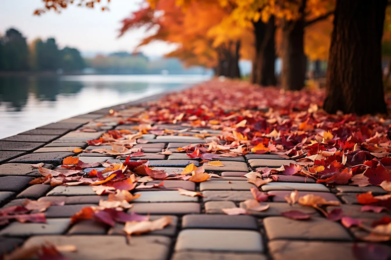 Découvrez les meilleurs parcs à visiter en automne en France