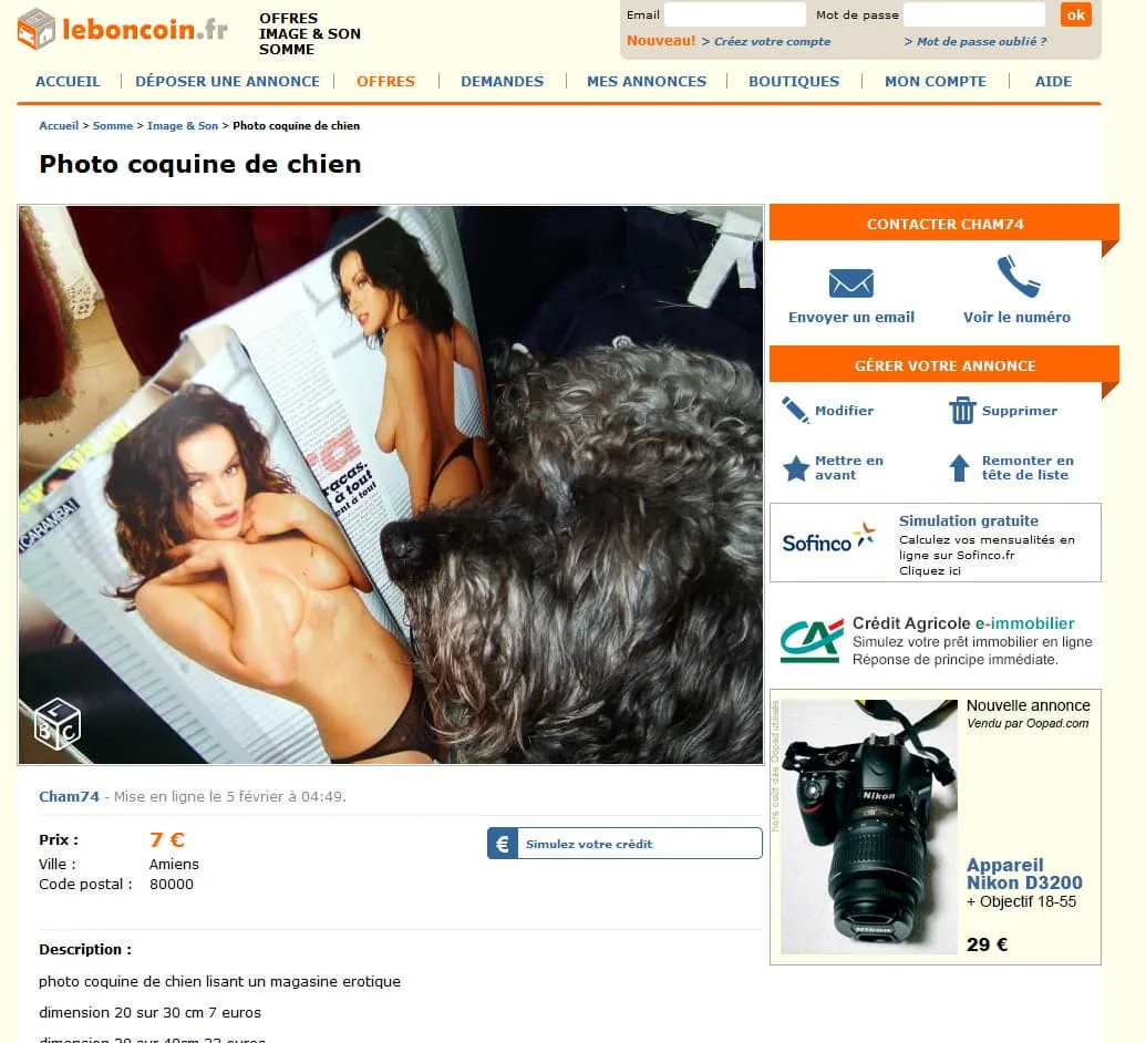 Une photo coquine de chien en vente sur Leboncoin