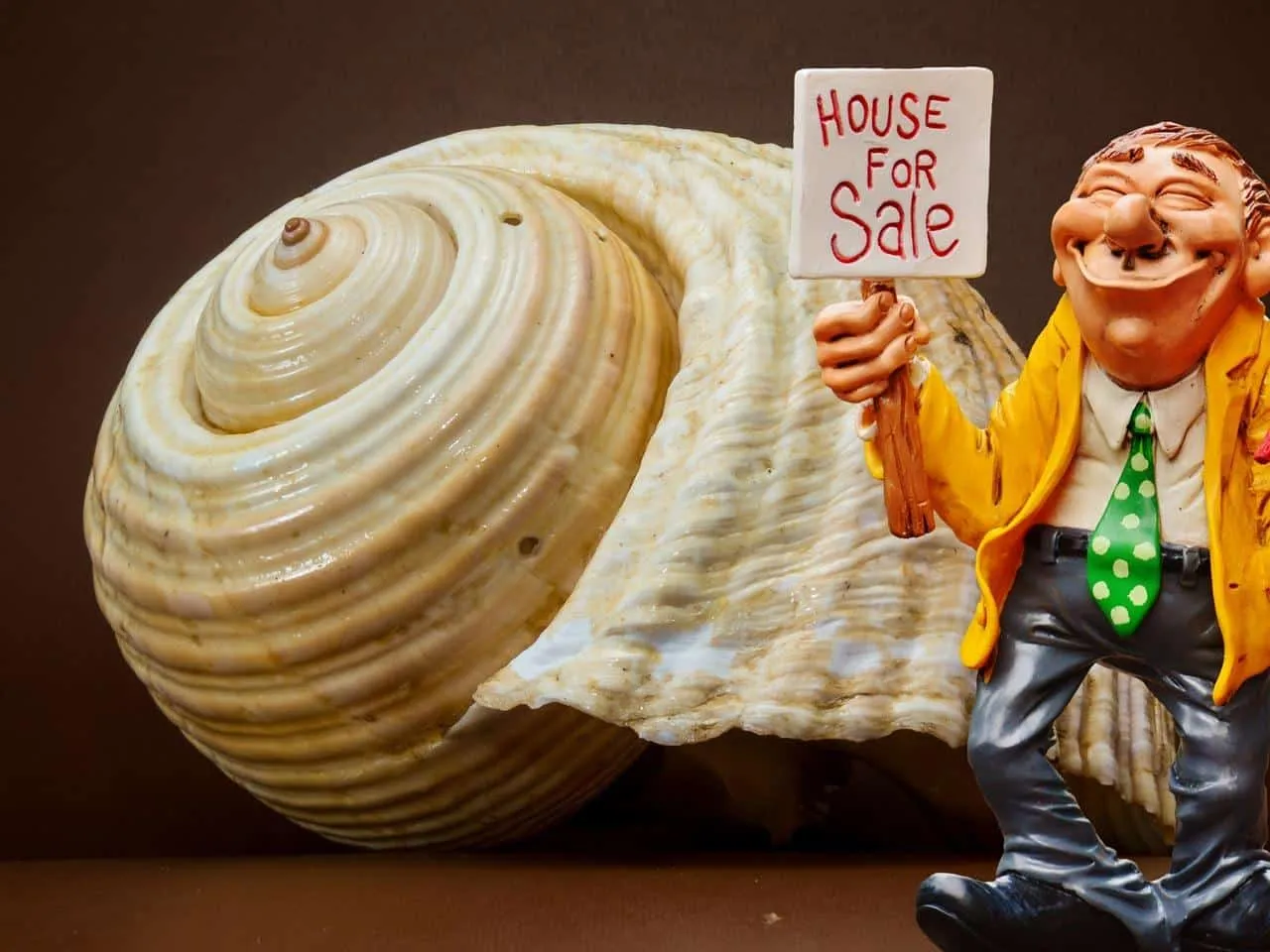 Vente immobilière : comment passer une annonce insolite mais sérieuse ?