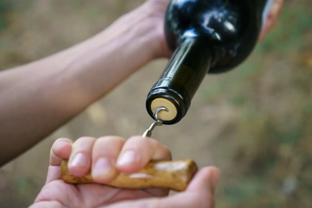 Comment découvrir les vins du monde à travers les voyages?